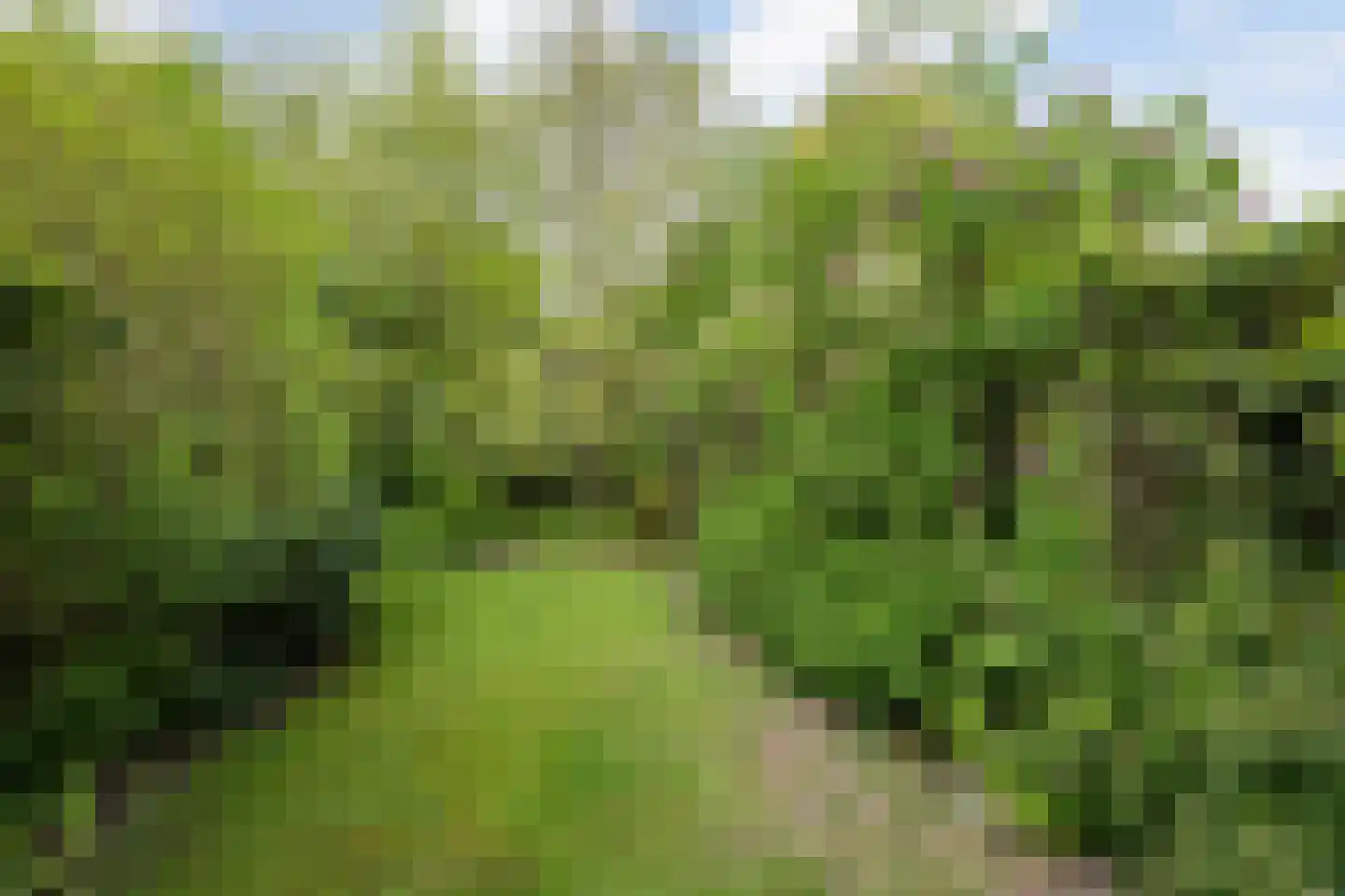 Nassaupark 91 Harmelen thumbnail 30