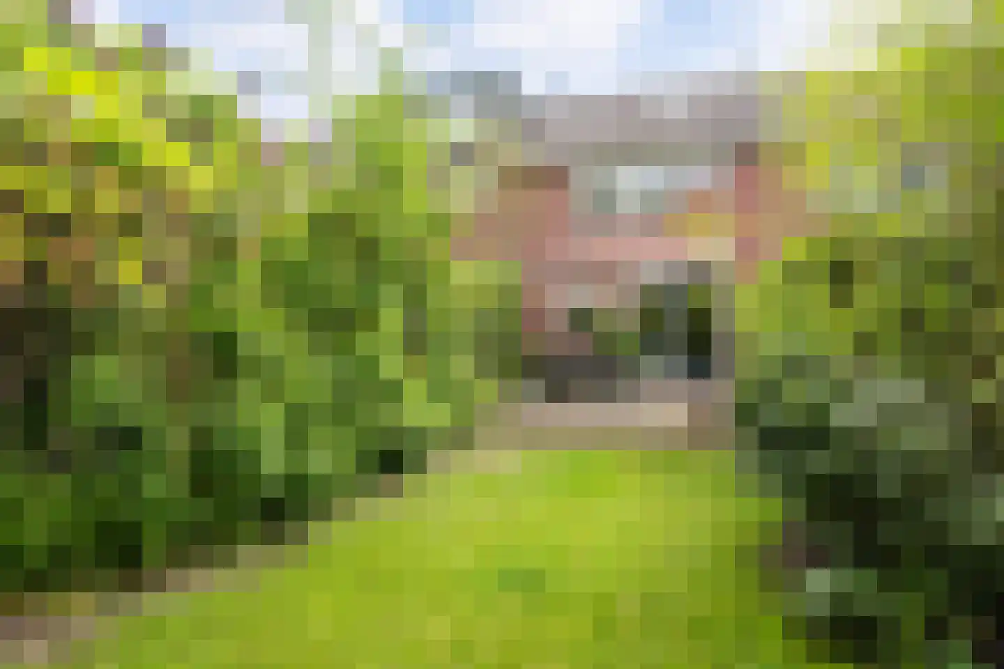Nassaupark 91 Harmelen thumbnail 31