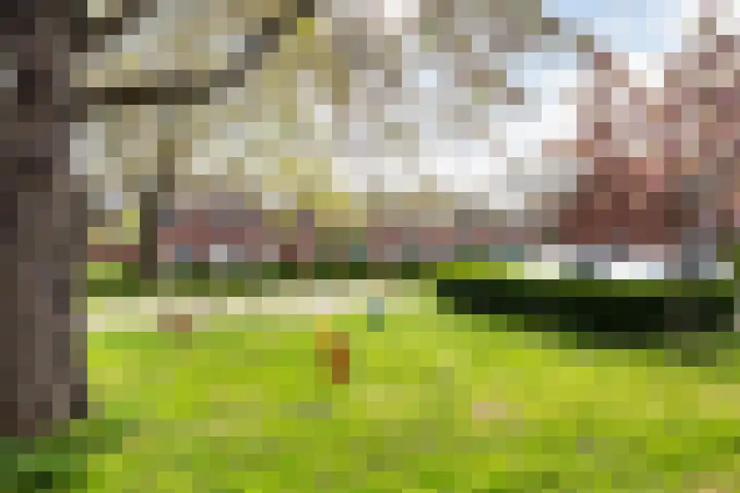 Nassaupark 91 Harmelen thumbnail 34