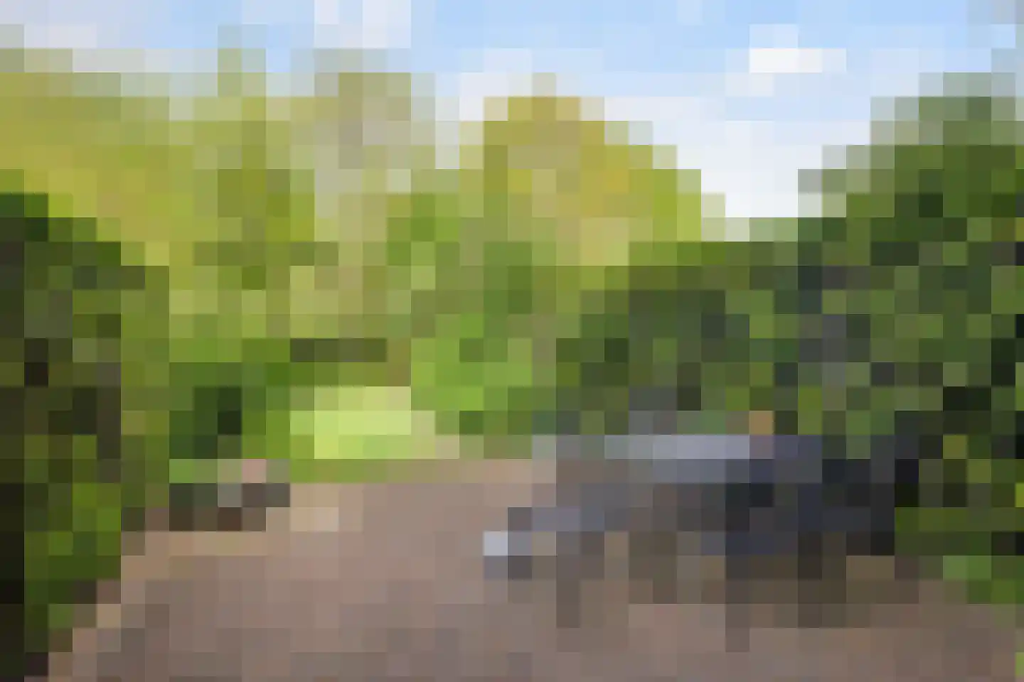 Nassaupark 91 Harmelen thumbnail 4