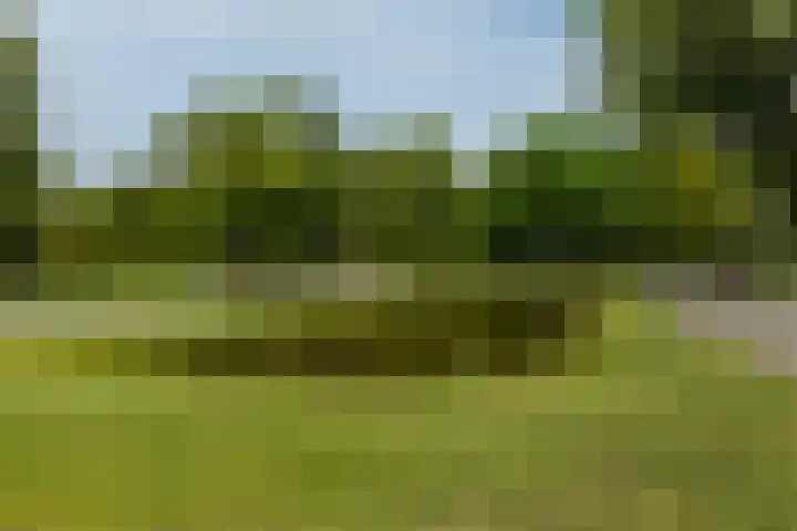 Nassauplantsoen 1 Dordrecht thumbnail 16