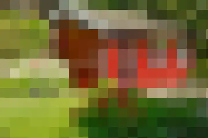 Nassauplantsoen 22 Soest thumbnail 12