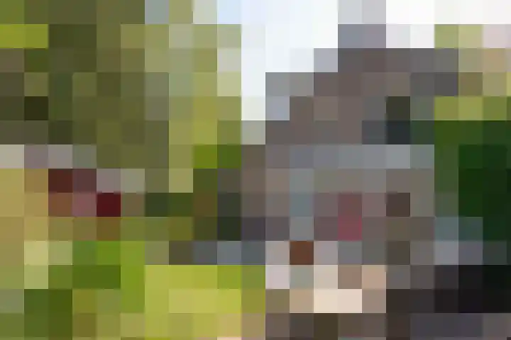 Nassauplantsoen 22 Soest thumbnail 13