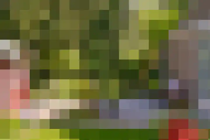 Nassauplantsoen 22 Soest thumbnail 14