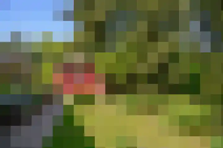 Nassauplantsoen 22 Soest thumbnail 15