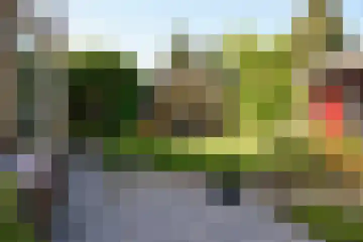 Nassauplantsoen 22 Soest thumbnail 16