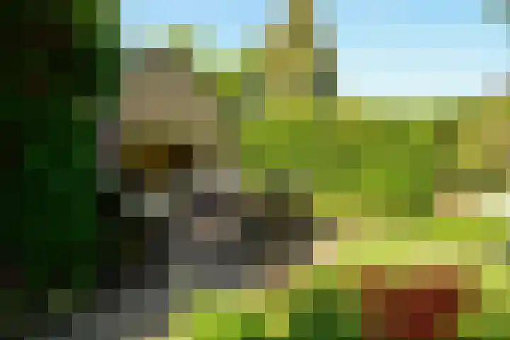 Nassauplantsoen 22 Soest thumbnail 17