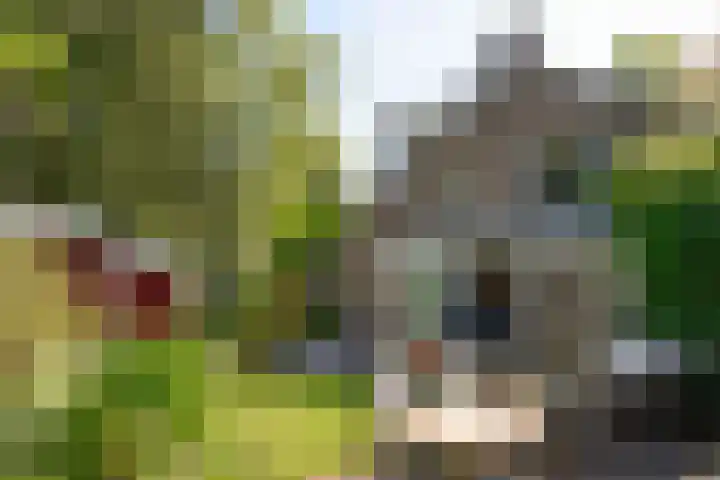 Nassauplantsoen 22 Soest thumbnail 18