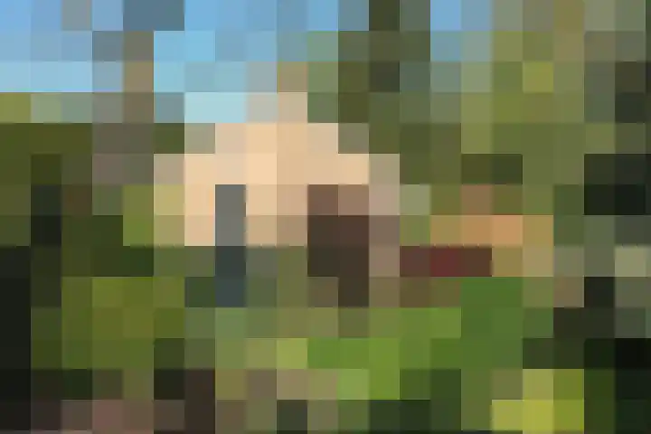 Nassauplantsoen 22 Soest thumbnail 39