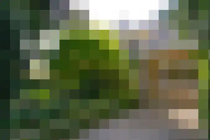 Nassauplantsoen 22 Soest thumbnail 4