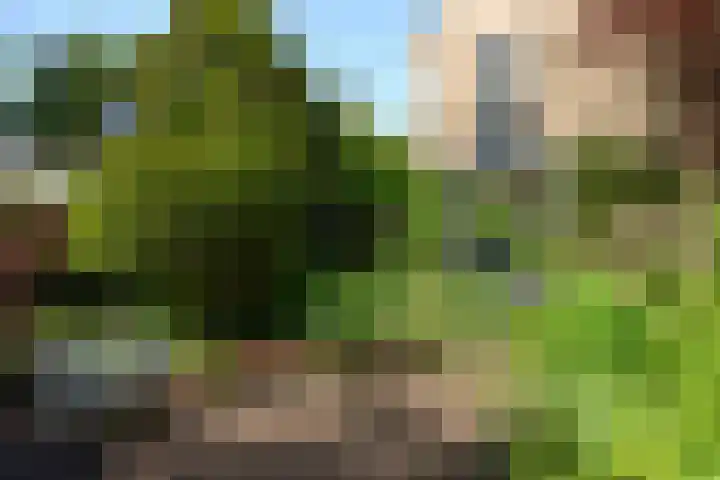 Nassauplantsoen 22 Soest thumbnail 40