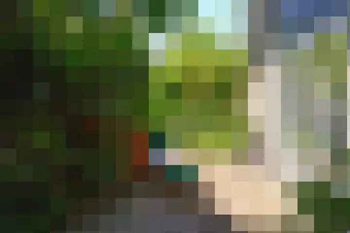 Nassauplantsoen 22 Soest thumbnail 41