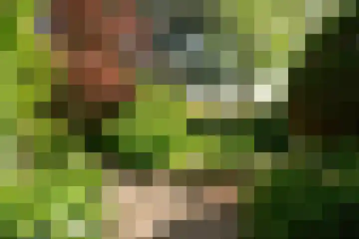 Nassauplantsoen 22 Soest thumbnail 42