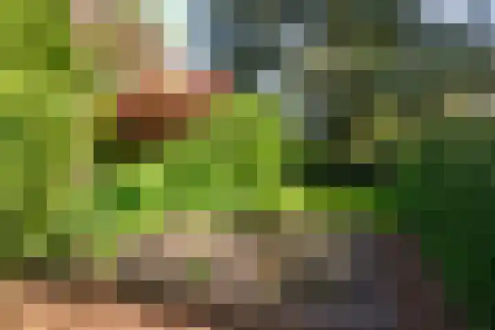 Nassauplantsoen 22 Soest thumbnail 43