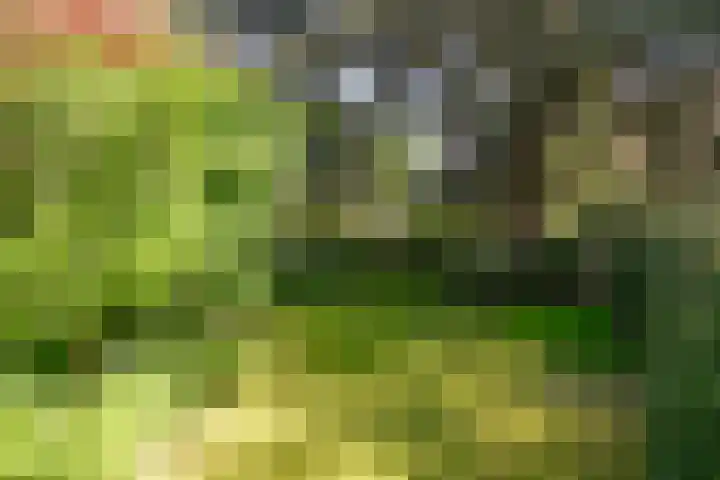 Nassauplantsoen 22 Soest thumbnail 44