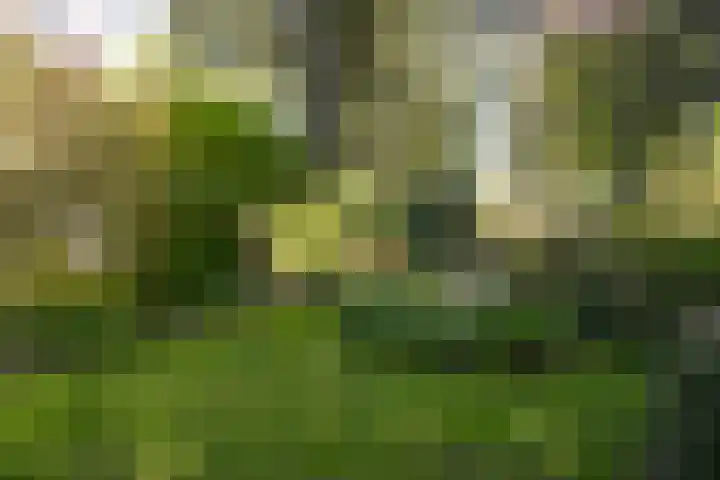 Nassauplantsoen 22 Soest thumbnail 45