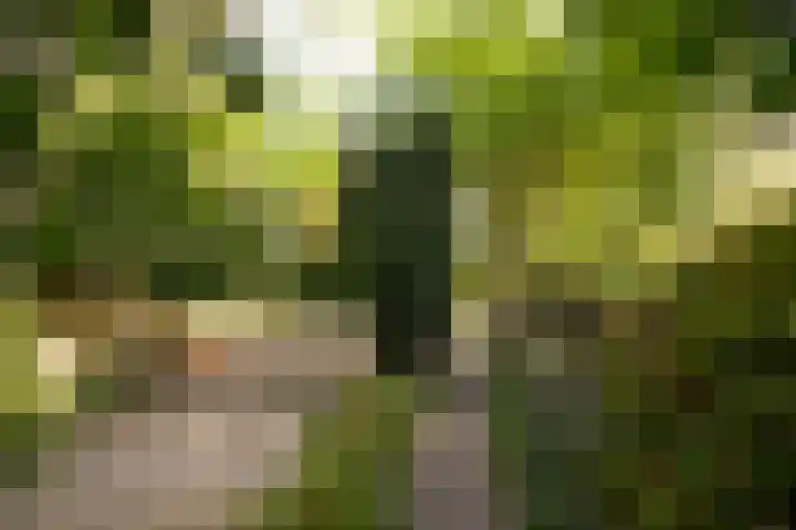 Nassauplantsoen 22 Soest thumbnail 46