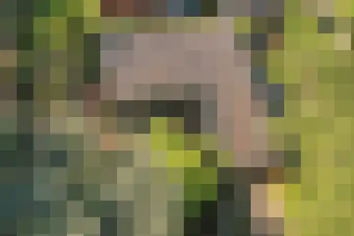 Nassauplantsoen 22 Soest thumbnail 47