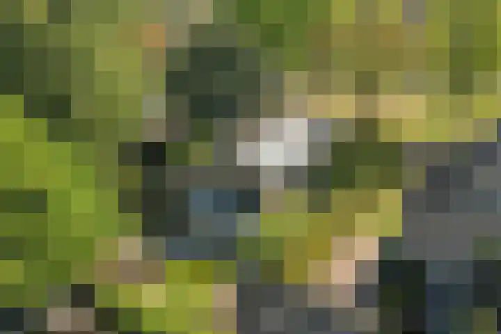 Nassauplantsoen 22 Soest thumbnail 48