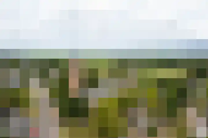 Nassauplantsoen 22 Soest thumbnail 52