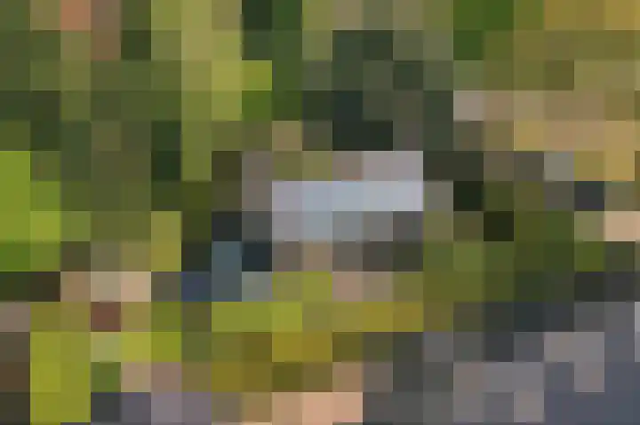 Nassauplantsoen 22 Soest thumbnail 60