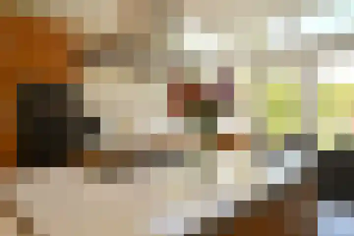 Nassauplantsoen 22 Soest thumbnail 8