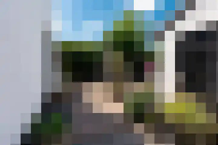 Nassauplantsoen 26 Soest thumbnail 16