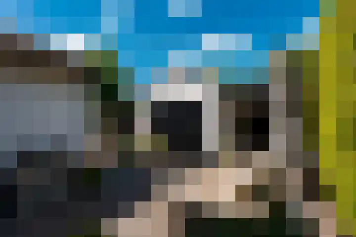 Nassauplantsoen 26 Soest thumbnail 17