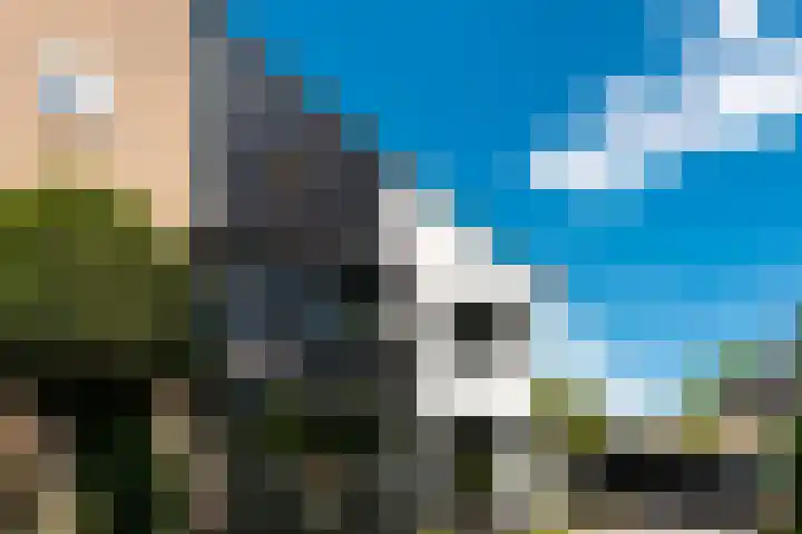 Nassauplantsoen 26 Soest thumbnail 51