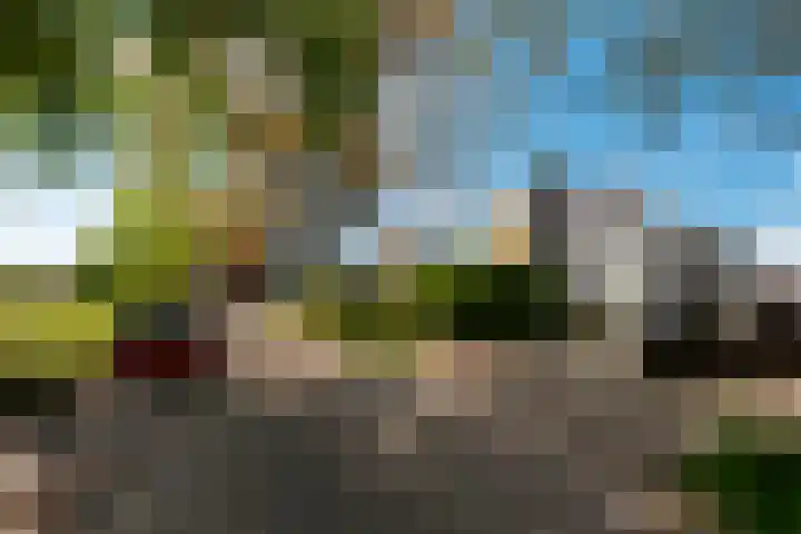 Nassauplantsoen 26 Soest thumbnail 55