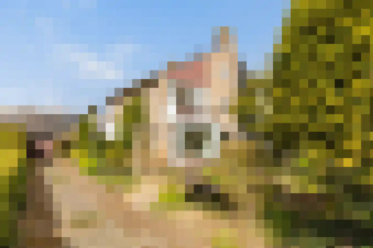 Nassauplantsoen 28 Soest