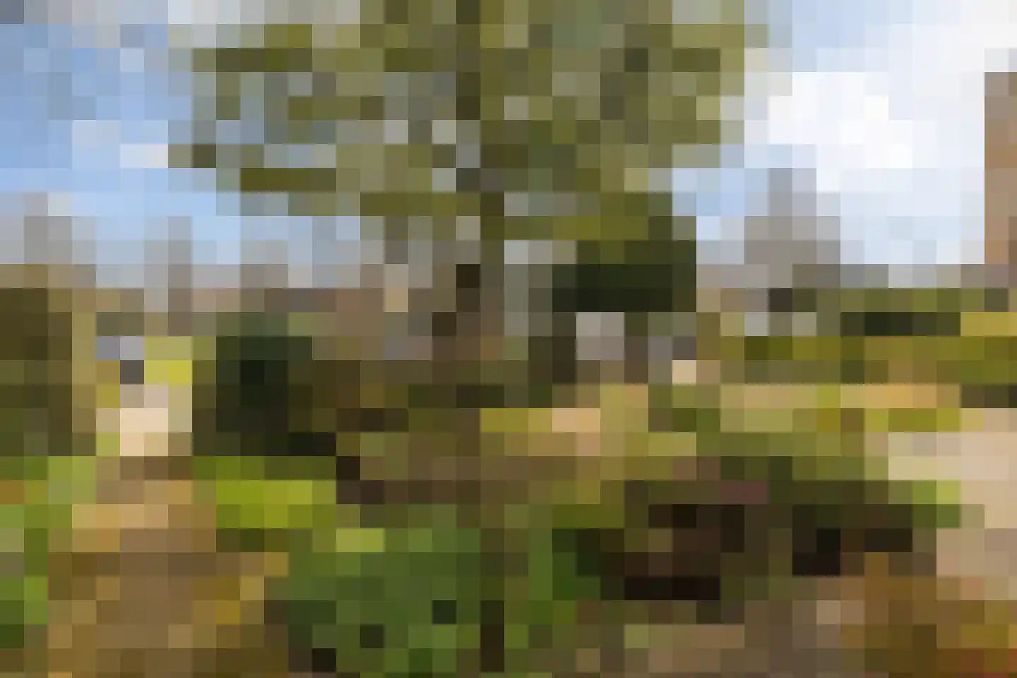 Nassauplantsoen 28 Soest thumbnail 30