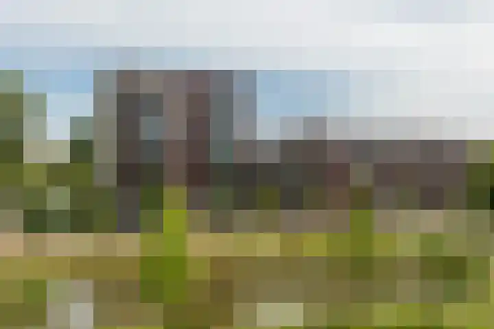 Nassauplantsoen 47 Dordrecht thumbnail 21