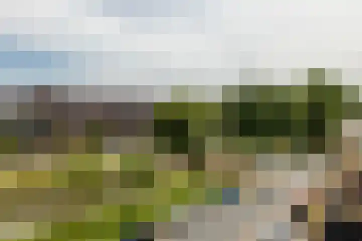 Nassauplantsoen 47 Dordrecht thumbnail 22