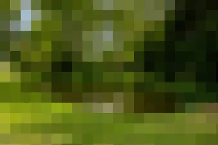 Nassauplantsoen 47 Dordrecht thumbnail 27