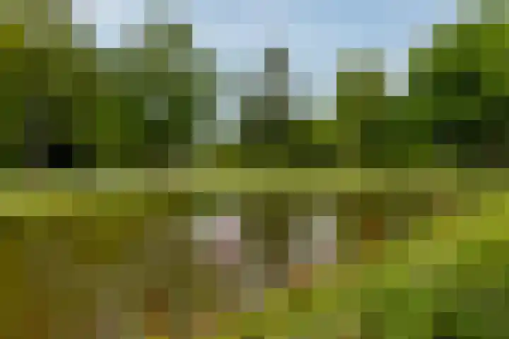 Nassauplantsoen 47 Dordrecht thumbnail 30