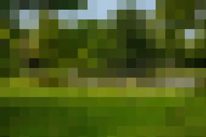 Nassauplantsoen 47 Dordrecht thumbnail 31