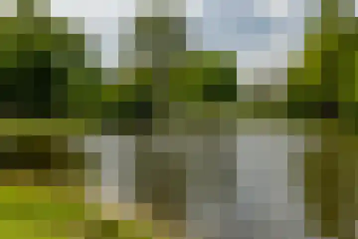 Nassauplantsoen 47 Dordrecht thumbnail 32