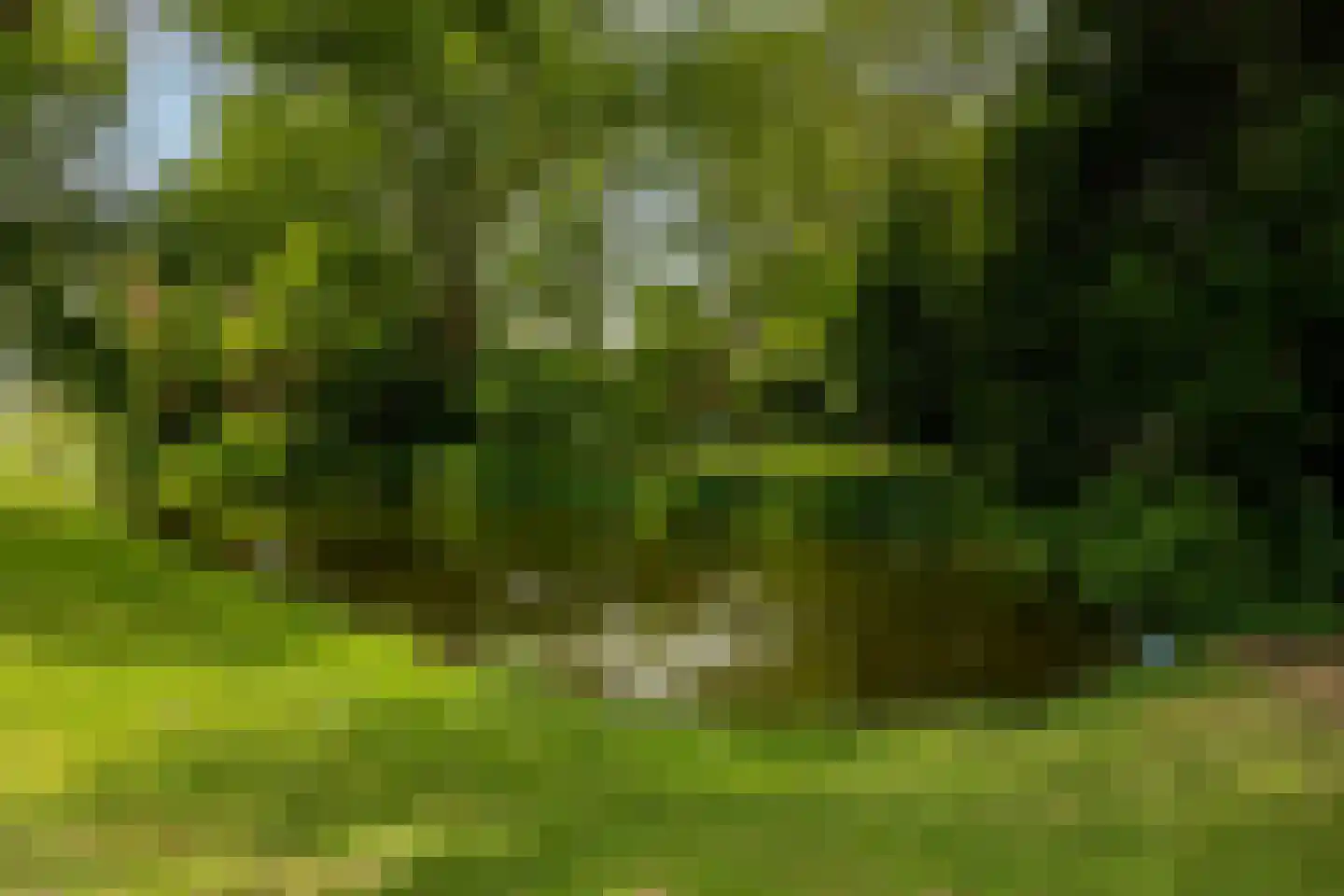 Nassauplantsoen 55 Dordrecht thumbnail 22