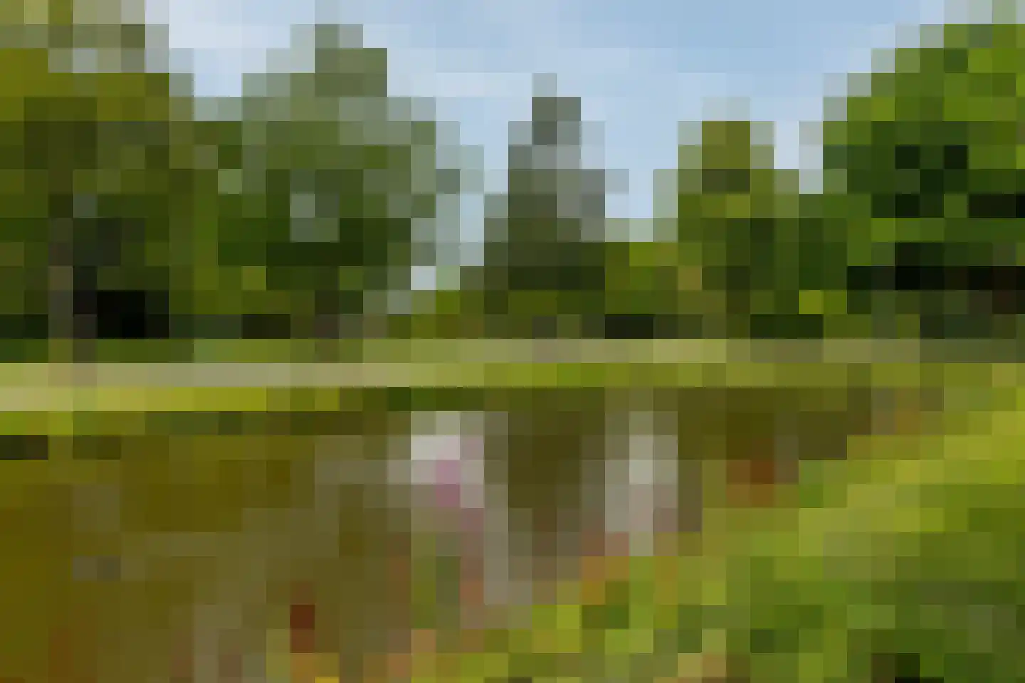 Nassauplantsoen 55 Dordrecht thumbnail 25