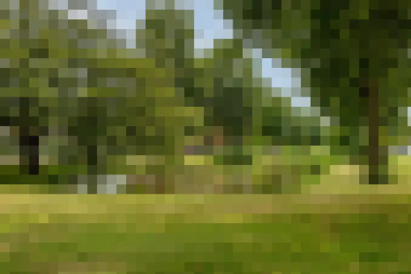 Nassauplantsoen 55 Dordrecht thumbnail 29