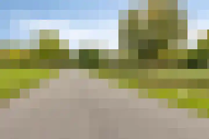 Nassauplantsoen 73 Dordrecht thumbnail 30