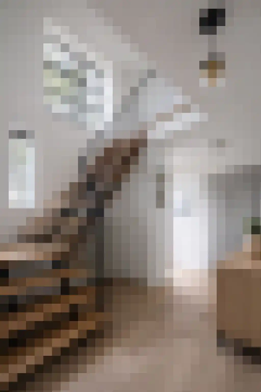 Nassauplein 10 Venray thumbnail 7