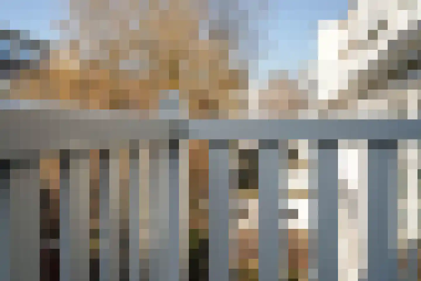 Nassauplein 11 A Den Haag thumbnail 40