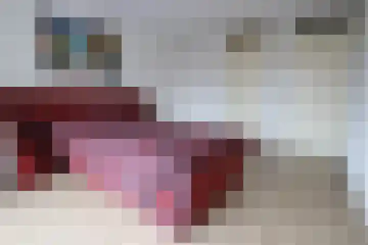 Nassauplein 11 T Alkmaar thumbnail 15