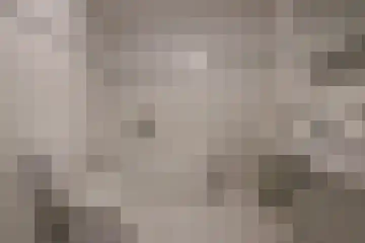 Nassauplein 11 T Alkmaar thumbnail 20
