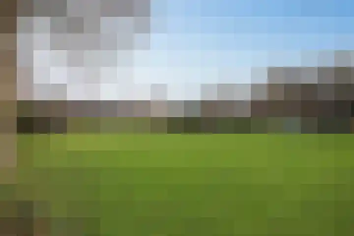 Nassauplein 11 T Alkmaar thumbnail 32