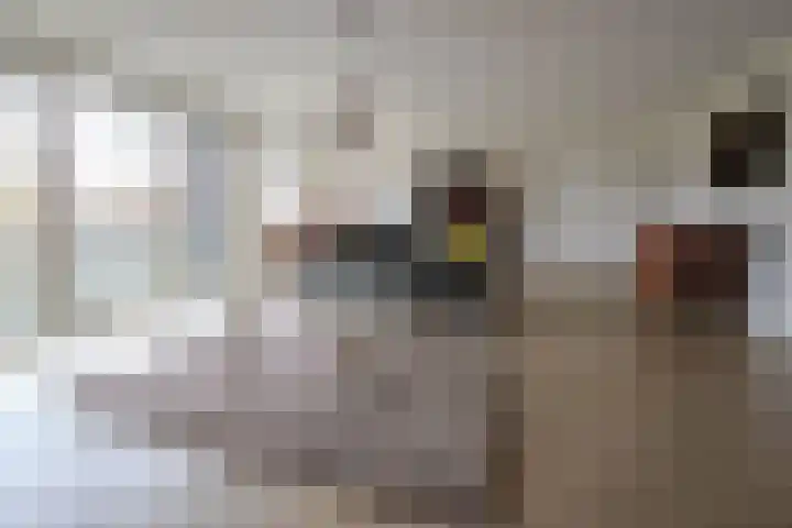 Nassauplein 11 T Alkmaar thumbnail 4