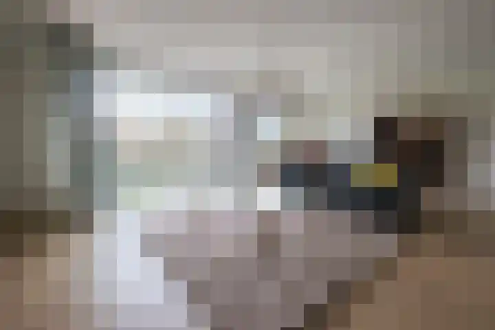 Nassauplein 11 T Alkmaar thumbnail 5