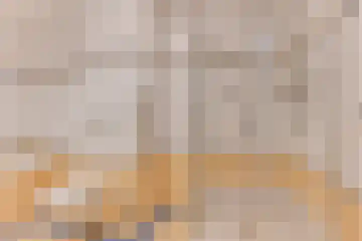 Nassauplein 11 V Alkmaar thumbnail 13